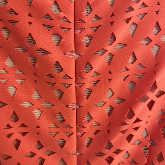 Adrianna Papell dress - Picture 6 of 7